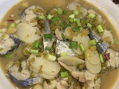 马鲛鱼-诺鲜酒店(月河店)