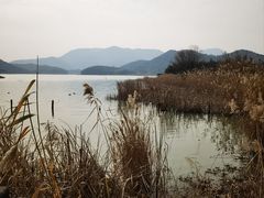 -鸣鹤古镇