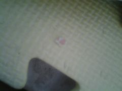 android_upload_pic-提香蛋糕(柏城店)