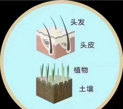 -木北造型