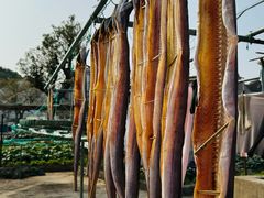 -东钱湖小普陀景区