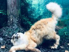 -天津自然博物馆