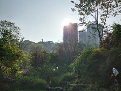 -龙头寺公园