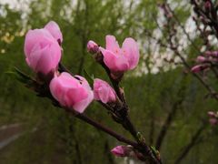 -南京市无想山景区