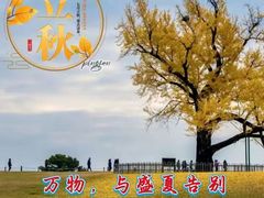 -禾绿回转寿司(国瑞店)