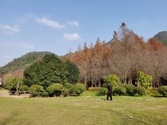 -贵阳市花溪国家城市湿地公园