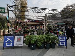 -京北渔家傲