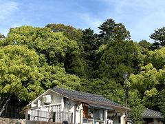 -奈良公园