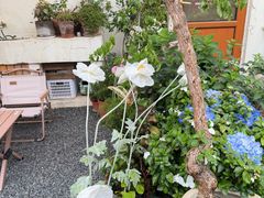 -AHAVA·Fang Baking Studio
