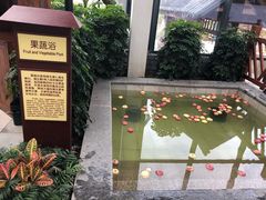 -太白山御龙湾温泉