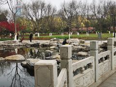 -莲花池公园