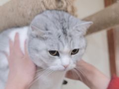 -共舞时光猫咖·狗咖(新街口店)