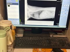 -瑞鹏宠物医院(大运分院)