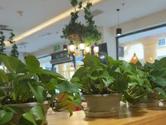 -拿渡·水煮鱼麻辣香锅(王府井奥莱·香江小镇店)