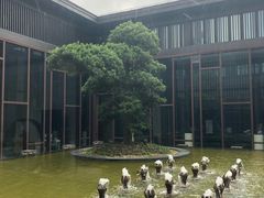 -上海崇明金茂凯悦酒店