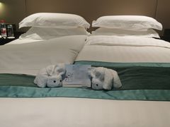 -上海华凯华美达广场酒店