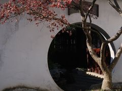 -艺圃