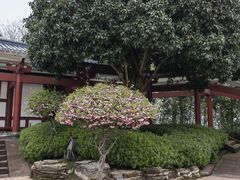 -鄂州市博物馆