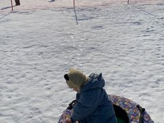 -绿野森林乐园冰雪季