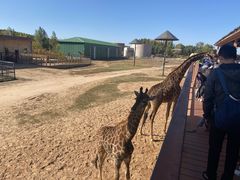 -鄂尔多斯野生动物园
