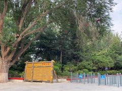 -青城公园