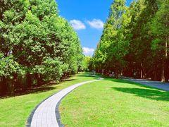 -同里国家湿地公园