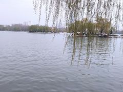 -济南大明湖景区