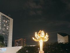 -金莲花广场