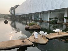 -罗红摄影艺术馆