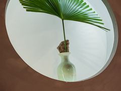 -本处·素食·融合料理(南油店)