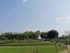 -眉山湿地公园(东坡区)