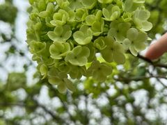 -盘龙城遗址博物院