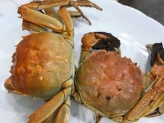 -禾斗海鲜自助(城阳宝龙店)