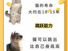 -佩兹宠物医院肿瘤专科·眼科·牙科(黄浦店)