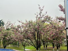 -茅草房·河畔园林火锅