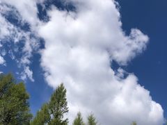 -白草畔自然风景区