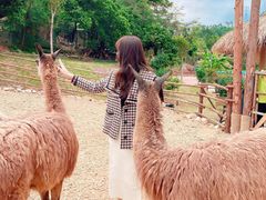 -泉州海丝野生动物世界