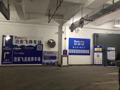 -泊安飞浦东物流大道停车场