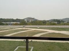 -上海佘山世茂艾美酒店