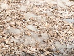 -三乐海鲜水饺馆