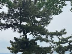 -刘公岛景区