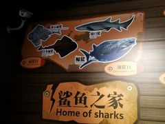 -成都浩海立方海洋公园