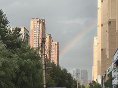 -长白岛森林公园