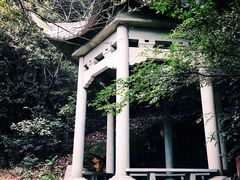 -西湖风景区十里琅珰-五云山