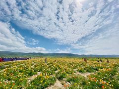 -青海湖国家重点风景名胜区