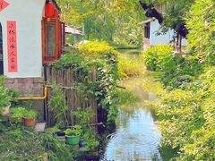 -西溪国家湿地公园