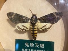 -陕西自然博物馆