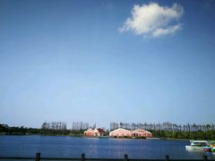 -上海长兴岛郊野公园