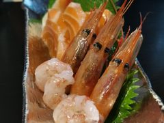 -鲤·鮨KOISUSHI