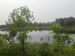 -东郊湿地公园